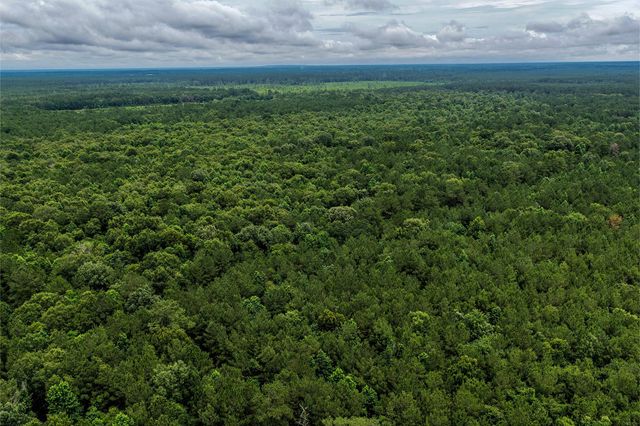1782 Acres County Line Road, Shepherd, TX 77371