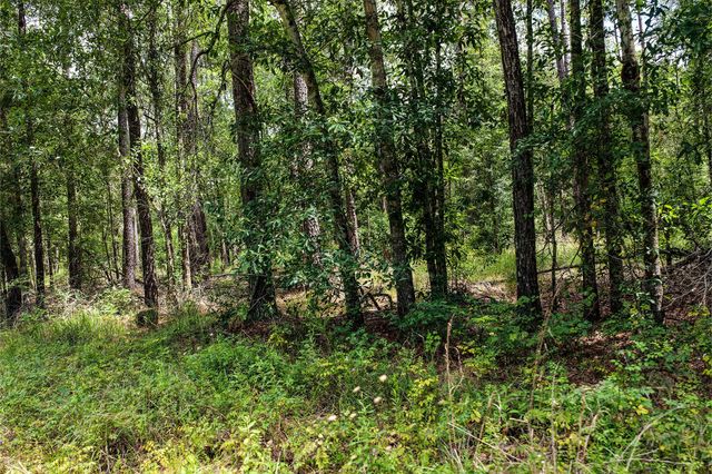 1782 Acres County Line Road, Shepherd, TX 77371