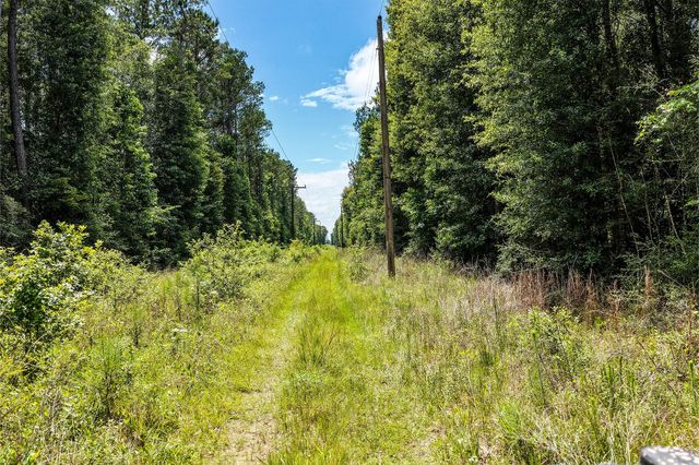 1782 Acres County Line Road, Shepherd, TX 77371