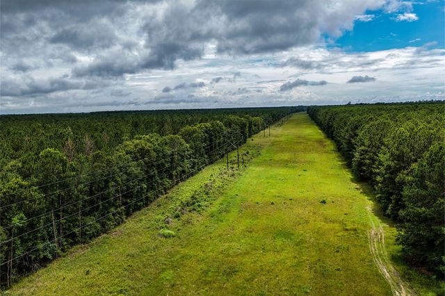 1782 Acres County Line Road, Shepherd, TX 77371