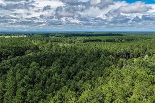 1782 Acres County Line Road, Shepherd, TX 77371