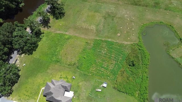 8573 New River Rd, St Amant, LA 70774