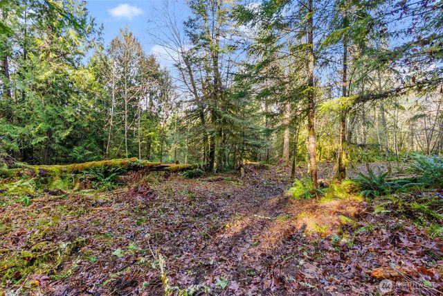 7840 Wapiti Lane SE, Tenino, WA 98589