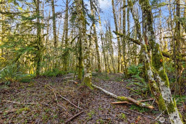 7840 Wapiti Lane SE, Tenino, WA 98589