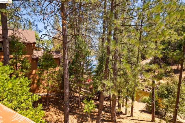 19824 Pine Mountain Dr, Groveland, CA 95321