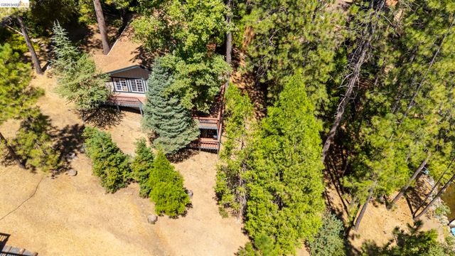 19824 Pine Mountain Dr, Groveland, CA 95321
