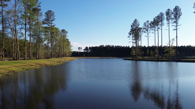 134 Summerwind Drive, Summerville, SC 29486