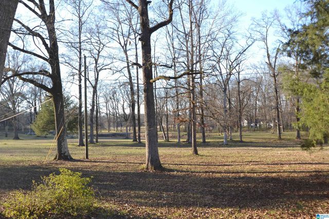 636 HIGHWAY 107, Montevallo, AL 35115