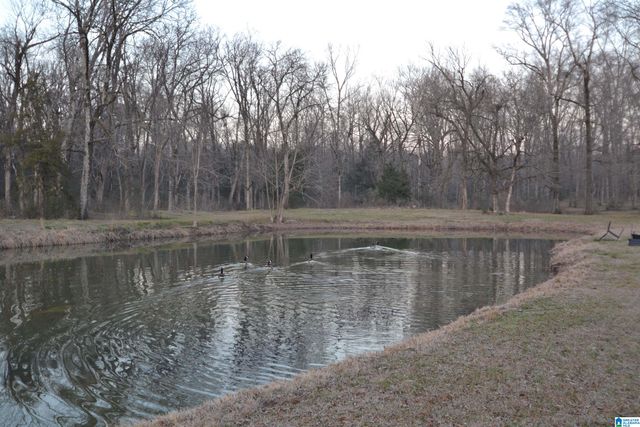 636 HIGHWAY 107, Montevallo, AL 35115