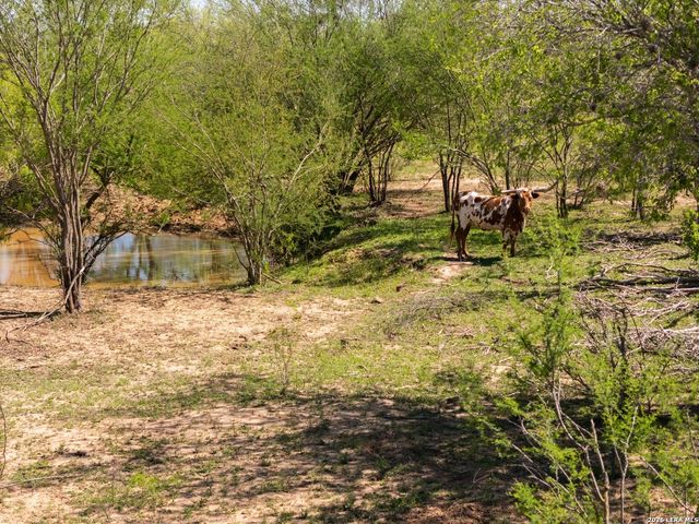 1283 S LOOP 1604 W, San Antonio, TX 78264