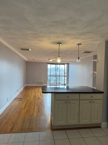 205 Ferry 408, Everett, MA 02149