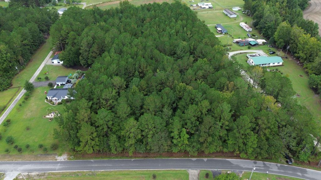 TBD Emery Rd., Loris, SC 29569 — photo 3