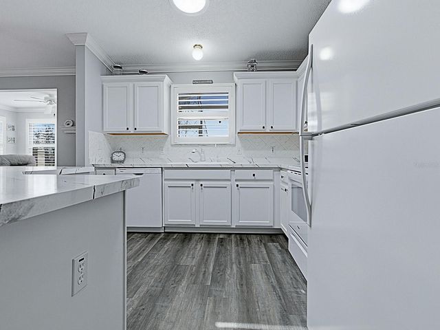 676 CAMINO DEL REY DRIVE, The Villages, FL 32159