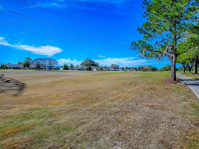 676 CAMINO DEL REY DRIVE, The Villages, FL 32159