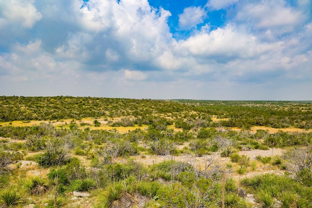 Image 1 of property listing at 205 Short Road, Ozona, TX 76943