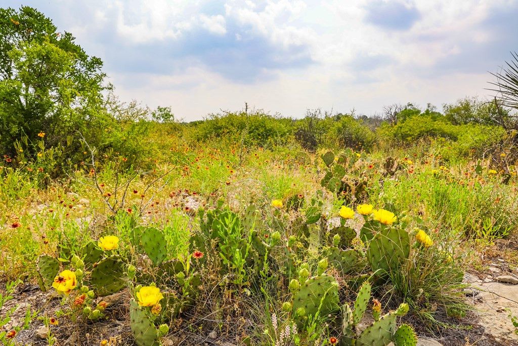 Image 15 of property listing at 205 Short Road, Ozona, TX 76943