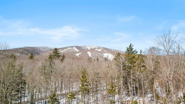 4 Gold Medal Circle # 4, Stratton, VT 05155