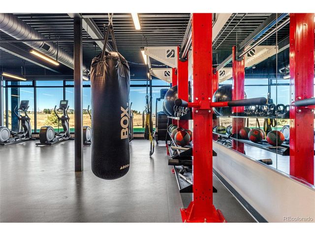 3614 Recess Ln, Castle Rock, CO 80108