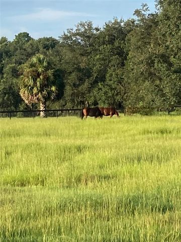 20462 SW 36TH STREET, Dunnellon, FL 34431