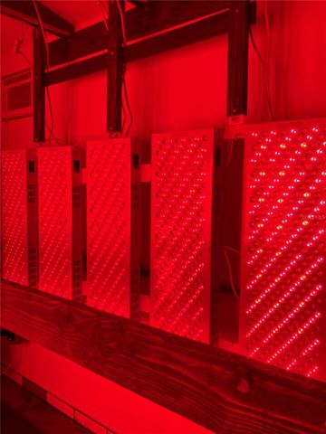 20462 SW 36TH STREET, Dunnellon, FL 34431