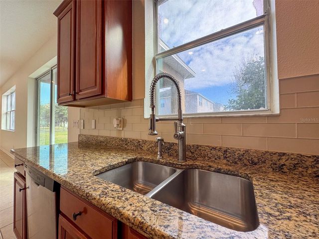 10663 PICTORIAL PARK DRIVE, Tampa, FL 33647