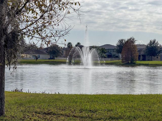 10663 PICTORIAL PARK DRIVE, Tampa, FL 33647