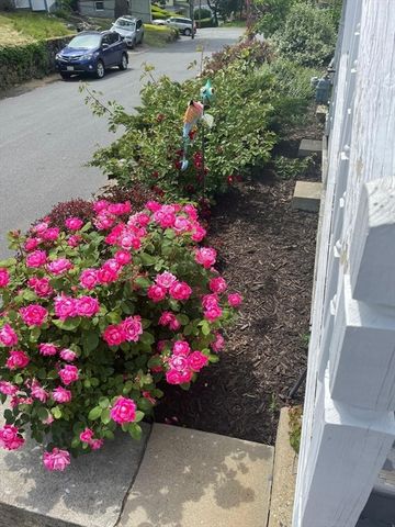 60 Roy St, Swampscott, MA 01907