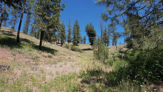 5550 Scotts Valley Rd, Deer Park, WA 99006