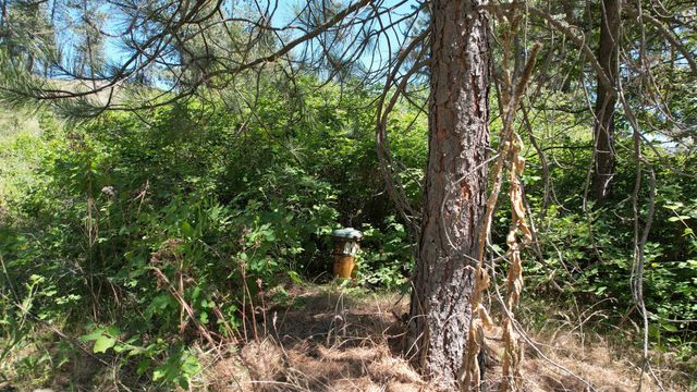 5550 Scotts Valley Rd, Deer Park, WA 99006