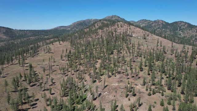 5550 Scotts Valley Rd, Deer Park, WA 99006