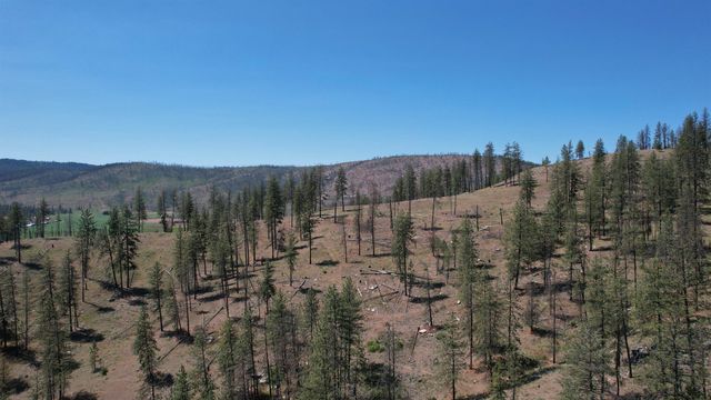 5550 Scotts Valley Rd, Deer Park, WA 99006