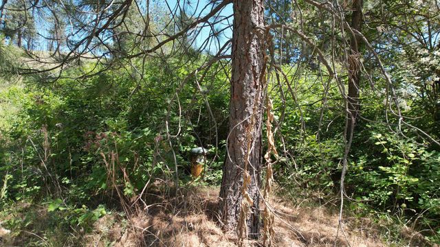 5550 Scotts Valley Rd, Deer Park, WA 99006