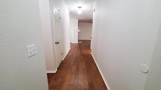 17012 Ocelot WAY, Round Rock, TX 78681