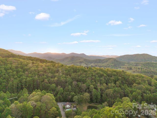 25 View Ridge Parkway, Leicester, NC 28748