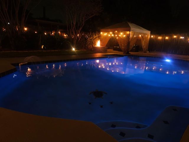 831 NANA AVENUE, Orlando, FL 32809