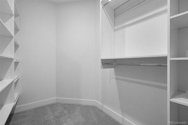 1753 Harlan Street 2, Lakewood, CO 80214