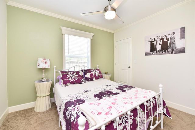 3221 Pecha Lane, Pleak, TX 77471
