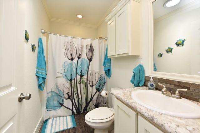 3221 Pecha Lane, Pleak, TX 77471