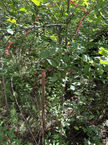 0 Donna Street, Houston, TX 77048