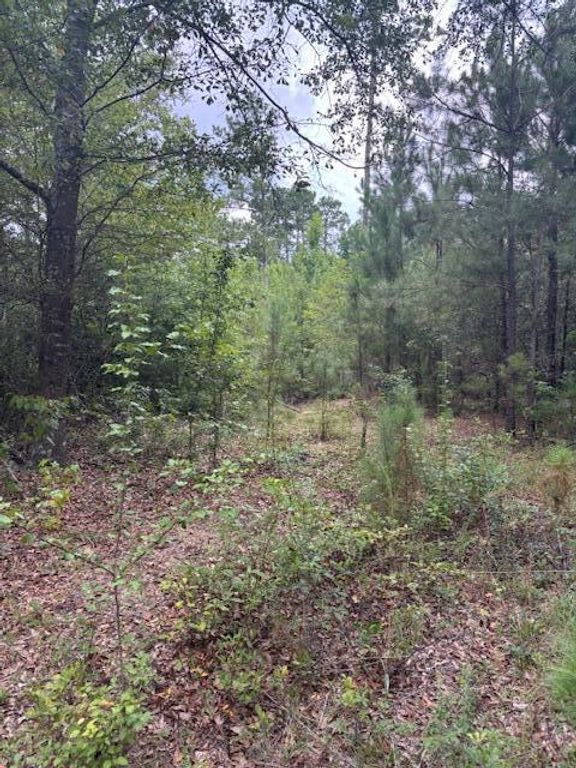 Image 3 of property listing at 1912 Pine Hollow Drive, Augusta, GA 30906