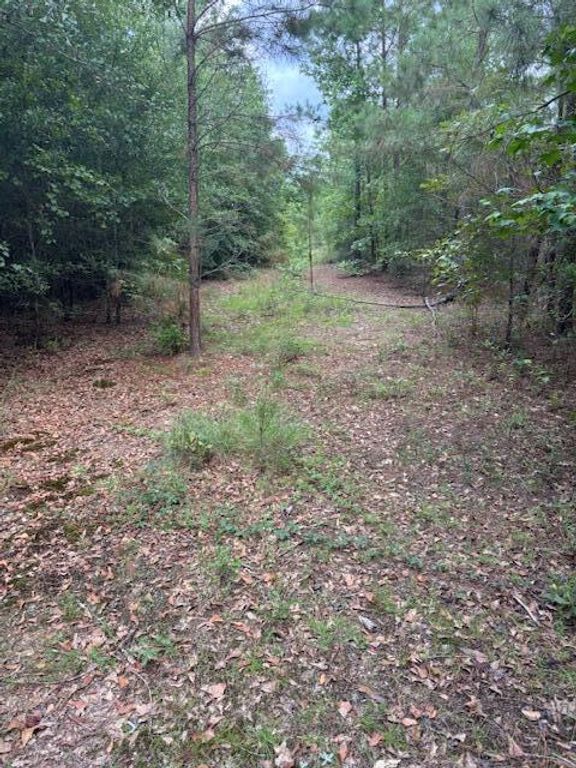 Image 4 of property listing at 1912 Pine Hollow Drive, Augusta, GA 30906