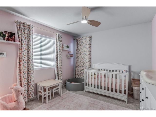 12432 E 101st Pl, Commerce City, CO 80022