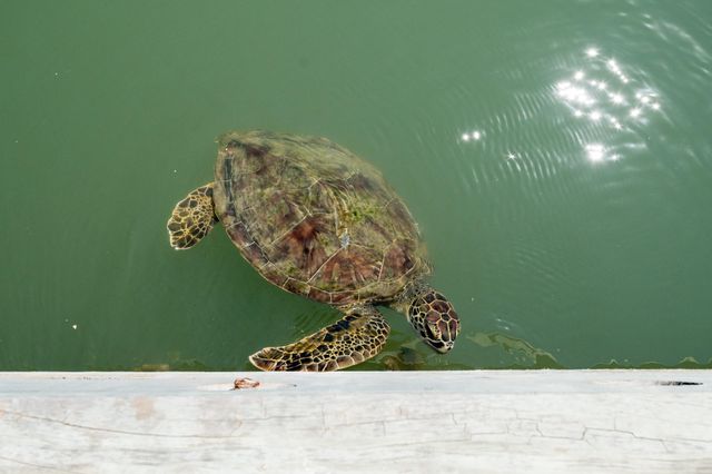 318 W Cotter Ave 2, Port Aransas, TX 78373