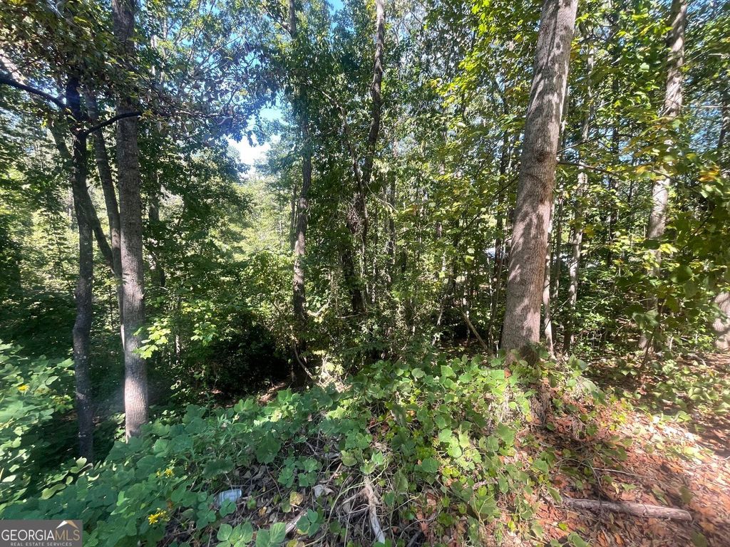 0 Eagle Court, Toccoa, GA 30577 — photo 4