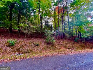 548 N Satsuma Court, Ellijay, GA 30540