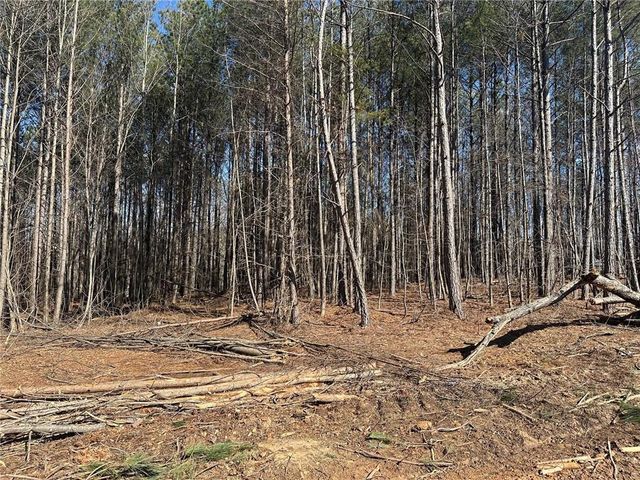 500 Chapman Ridge Lane, Dahlonega, GA 30533