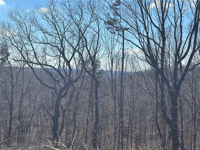 500 Chapman Ridge Lane, Dahlonega, GA 30533