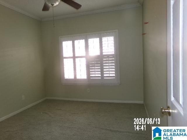 1133 WISTERIA DRIVE, Tuscaloosa, AL 35405