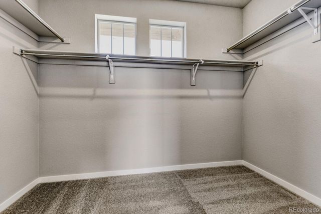 13780 Daffodil Way, Parker, CO 80134