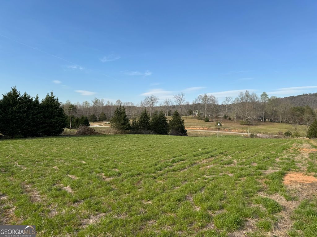308 Amys Creek Rd, Clarkesville, GA 30523